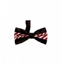 BT018 make fashion bow tie online order color contrast bow tie manufacturer 45 degree